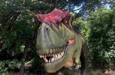 Dinosaurs Live! in McKinney on 02 September 2023