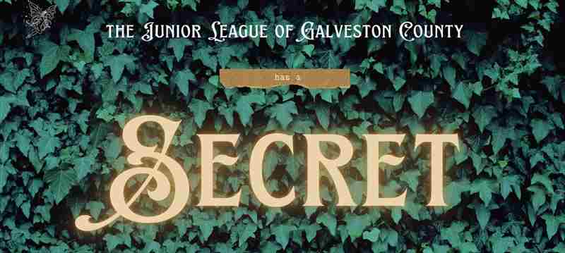 Junior League of Galveston County Annual Gala in Galveston on 16 Dec