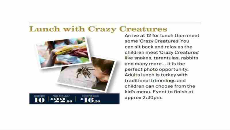 Lunch with Crazy Creatures - Holiday Inn Newcastle Gosforth Park - Sunday 10th December 2023 in Newcastle upon Tyne on 10 Dec