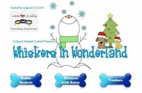 Whiskers In Wonderland in Gales Ferry on 3 Dec