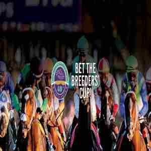 Breeders Cup in Seabrook on 03 November 2023