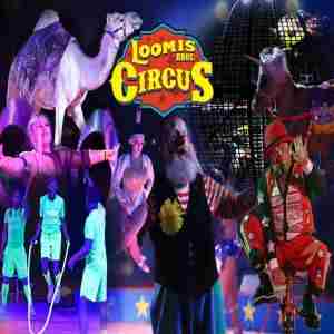 Loomis Bros Circus 2023 Tour in Trenton/Bell, FL - November 3 ,4 and 5 2023 in Bell on 3 Nov