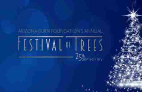 Arizona Burn Foundation's Annual Festival of Trees - 25th Anniversary in Scottsdale on 9 Dec