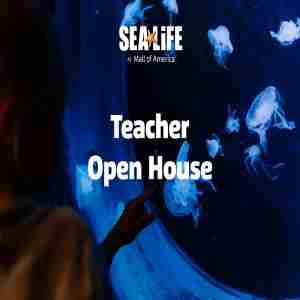 Teacher Open House at SEA LIFE at Mall of America in Bloomington on 14 November 2023