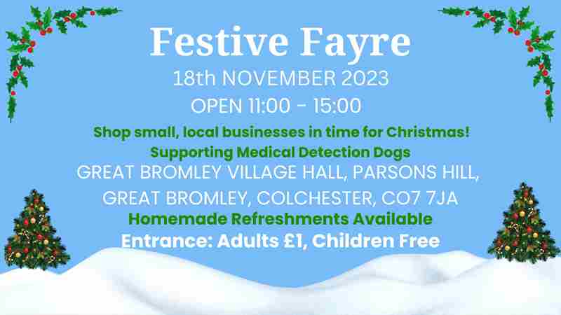 Festive Fayre in Colchester on 18 Nov