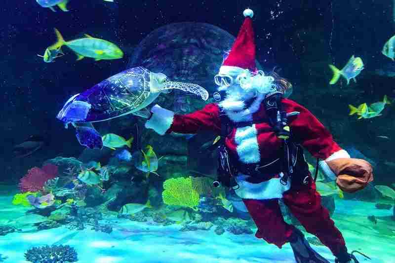 FISH-mas - Winter Holiday Event at SEA LIFE Michigan Aquarium in Auburn Hills on 1 Dec