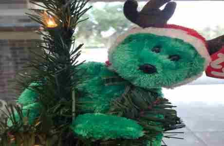 Holiday Trees Display and Auction in Tampa on 6 Nov