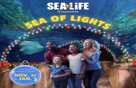 SEA Of Lights | SEA LIFE Aquarium Grapevine in Grapevine on 17 Nov