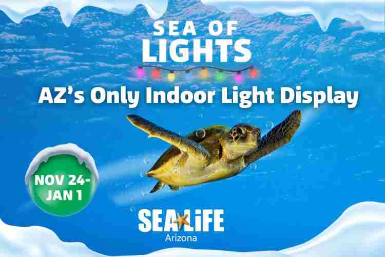 Sea of Lights at SEA LIFE Arizona in Tempe on 24 Nov