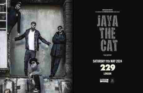 JAYA THE CAT at 229 - London in London on 11 May