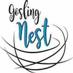 Gosling Nest Supplies Drive in Watertown on 5 Dec