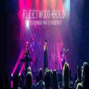 Fleetwood Gold LIVE in St Petersburg, Florida in St  Petersburg on 10 Feb