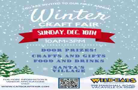 Winter Craft Fair (Indoors! @ Will C. Wood High School) in Vacaville on 10 Dec