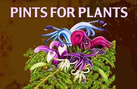 Pints for Plants in Honolulu on 9 Dec