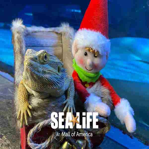 Scuba Claus at SEA LIFE at Mall of America! in Bloomington on 10 December 2023