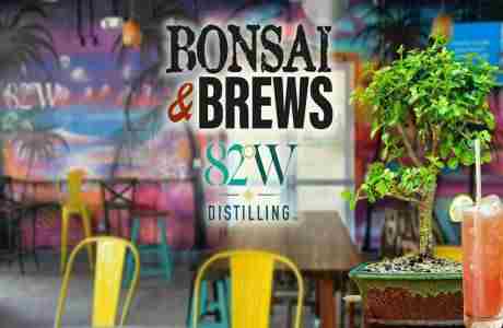 Bonsai and Brews at 82West in Tampa on 30 Dec