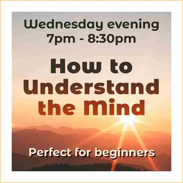 How To Understand the Mind: A Buddhist Perspective in Austin on 3 Jan