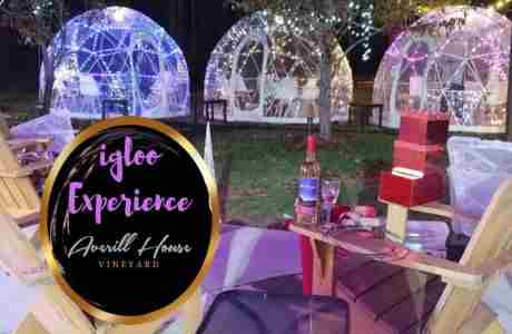 Averill House Vineyard Unveils Food and Wine Pairing: Vine to Wine inclusive igloo in Brookline on 21 Jan