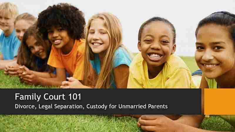 Family Court 101 in Digital on 23 Jan