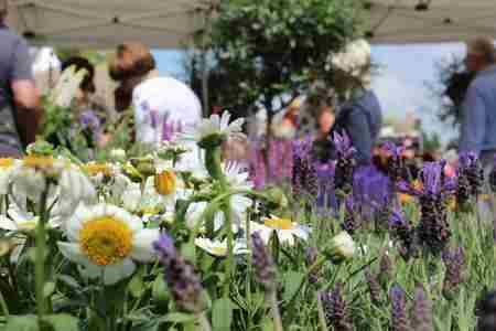 The Newbury Garden Show 2024 in Hermitage on 13 Apr