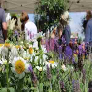 The Newark Garden Show 2024 in Newark on 19 Apr