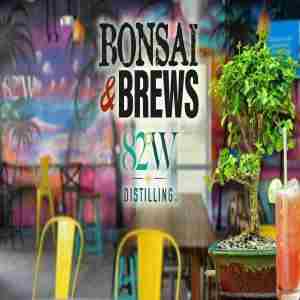 Bonsai and Brews at 82West in Tampa on 3 Mar