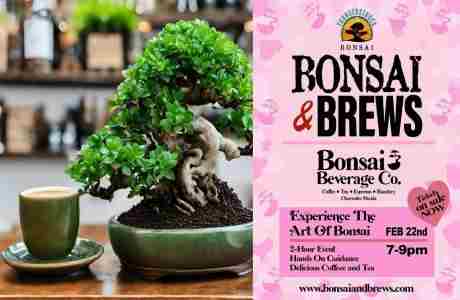 Bonsai and Brews at Bonsai Beverage Co. in Clearwater on 22 Feb