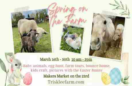 Spring On the Farm in West Linn on 16 Mar