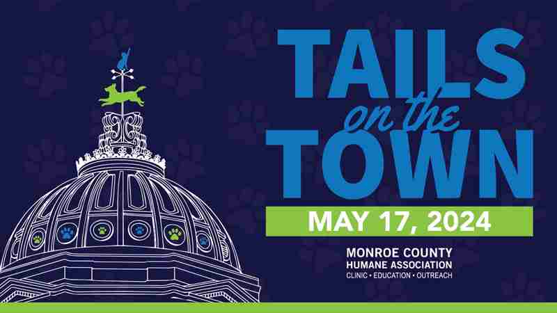 Tails on the Town in Bloomington on 17 May