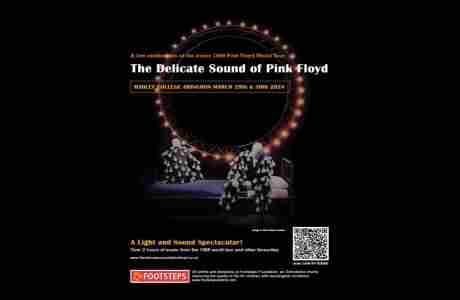 The Delicate Sound of Pink Floyd in Abingdon on 29 Mar