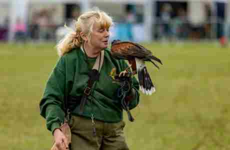 Cambridge Country Show in Cambridge on 10 Aug