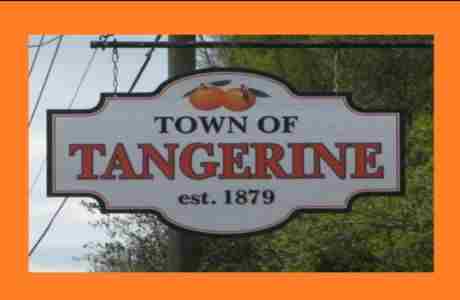 Tangerine Estate Sale in Florida on 2 Mar