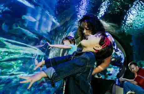 Spring Break at SEA LIFE Michigan Aquarium in Auburn Hills on 23 Mar