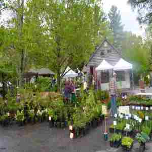 French Broad River Garden Club Foundation Annual Plant Sale in Asheville on 20 Apr