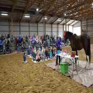 Spring Fling at Longmeadow Rescue Ranch in Union on 20 April 2024