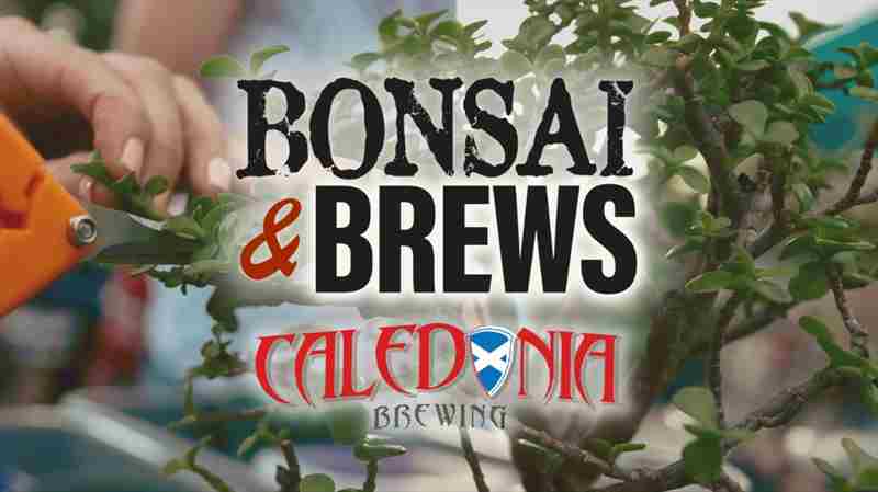 Bonsai and Brews at Caledonia Brewing in Dunedin on 17 Apr