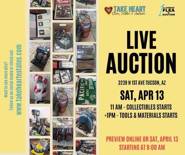 LIVE AUCTION in Arizona on 13 Apr