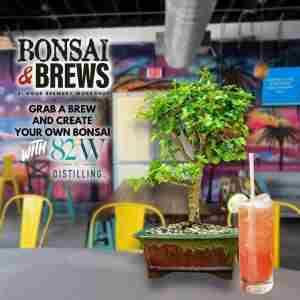 Bonsai and Brews at 82West in Tampa on 19 May