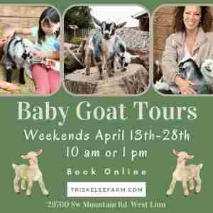 Baby Goat Tours at Triskelee Farm in West Linn on 13 Apr