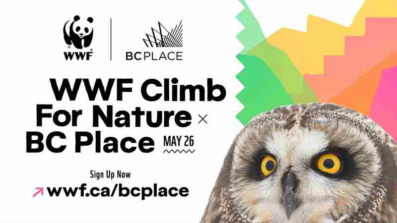 WWF Climb for Nature - BC Place, May 26, 2024 at Langley in Canada on 26 May