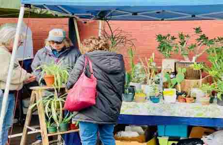 Mustard Seed's Spring Market And Vintage Car Show 2024 in Nampa on 11 May