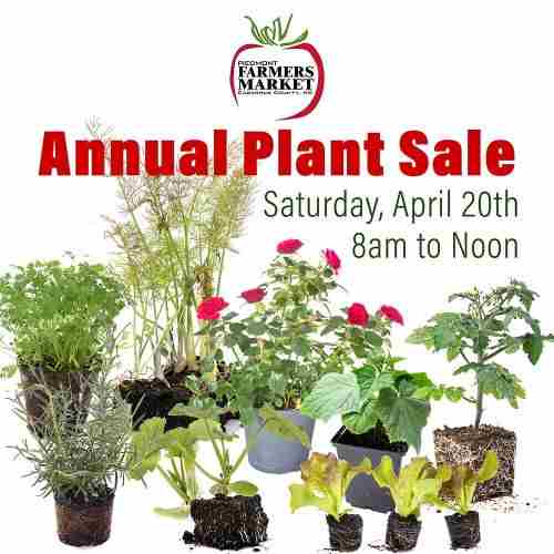 Plant Sale at Piedmont Farmers Market in Concord on 20 Apr