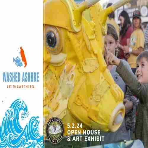 Open House/Art Exhibit: "Washed Ashore" shows that beautiful things can come from trashy beginning! in St  Helena on 02 May 2024