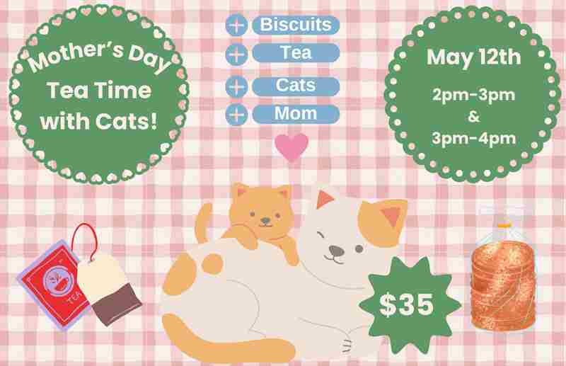 Mother's Day Tea Time - With Cats! in San Francisco on 12 May