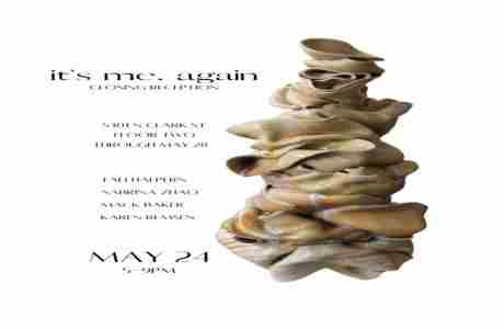 "it's me, again" Closing Reception in Illinois on 24 May 2024