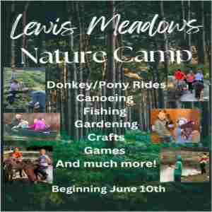 Lewis Meadows Nature Camp in North Carolina on 10 Jun