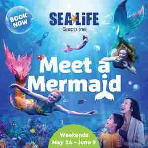 Meet A Mermaid at SEA LIFE Grapevine in Grapevine on 27 May