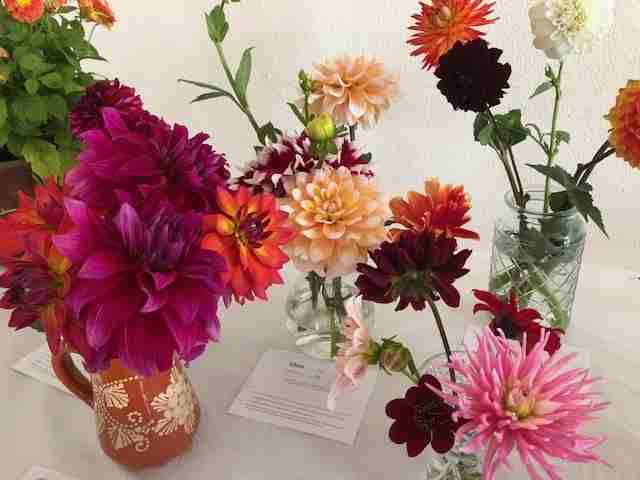 Autumn Flower and Vegetable Show in Saint Neots on 14 Sep