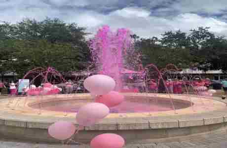 Pink Party in the Park in Winter Haven on 29 Sep