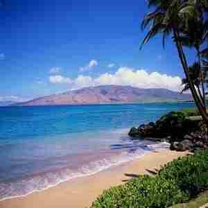 Hematology and Medical Oncology Practice Updates and Board Review 2025 in Kapalua on 3 Feb